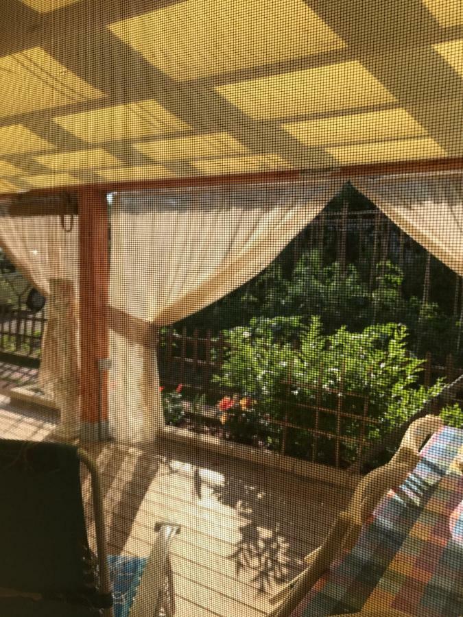 Ancora Bilocale Villa Marina di Massa Kültér fotó
