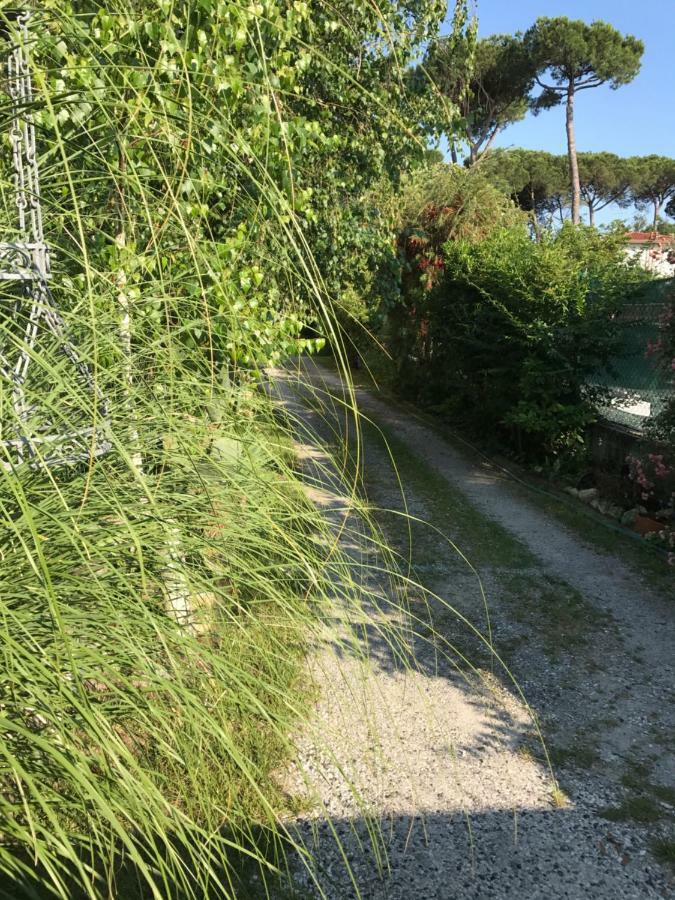 Ancora Bilocale Villa Marina di Massa Kültér fotó