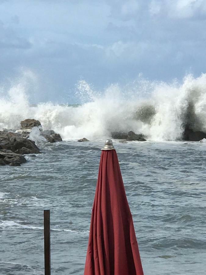 Ancora Bilocale Villa Marina di Massa Kültér fotó