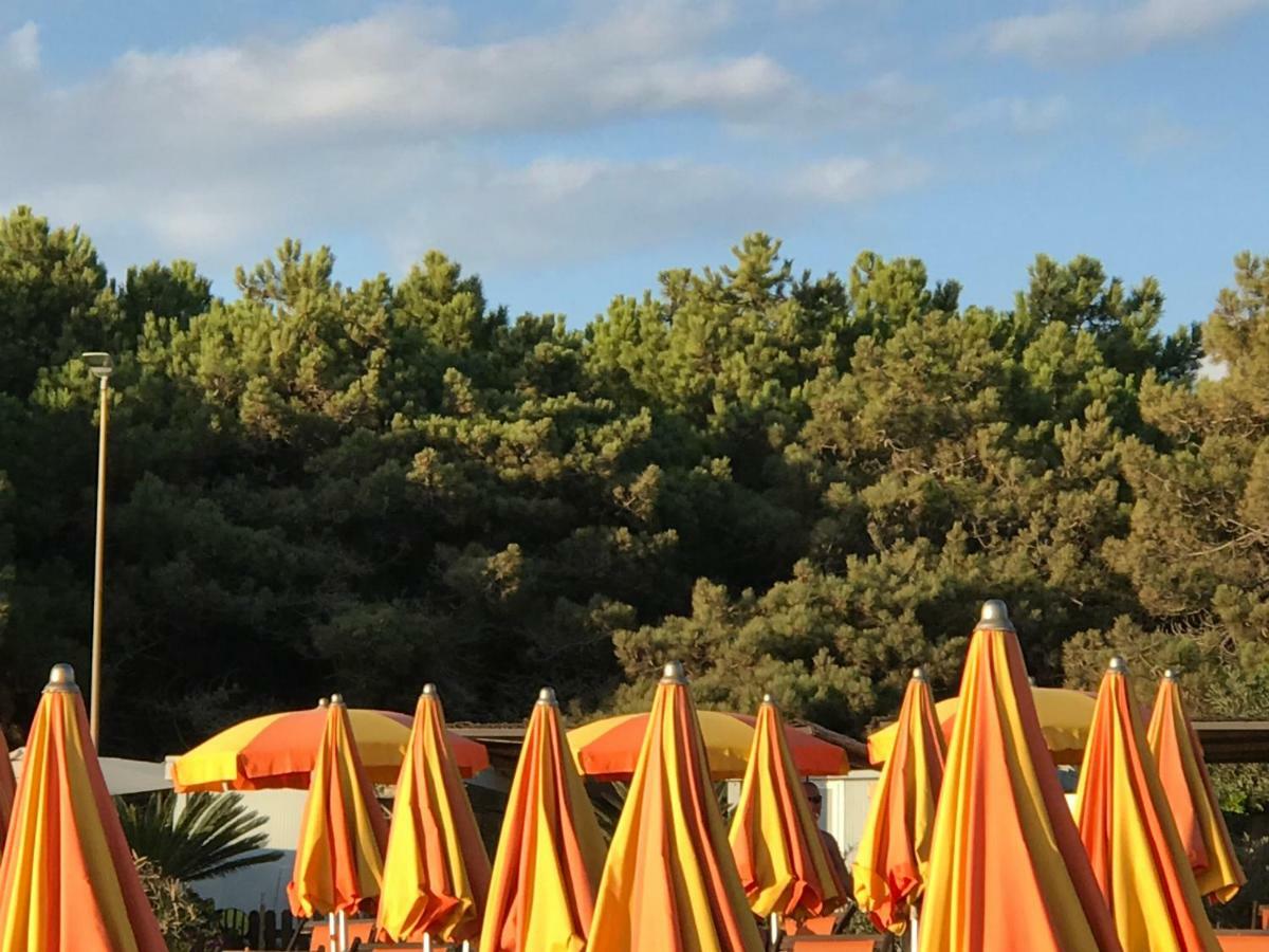 Ancora Bilocale Villa Marina di Massa Kültér fotó